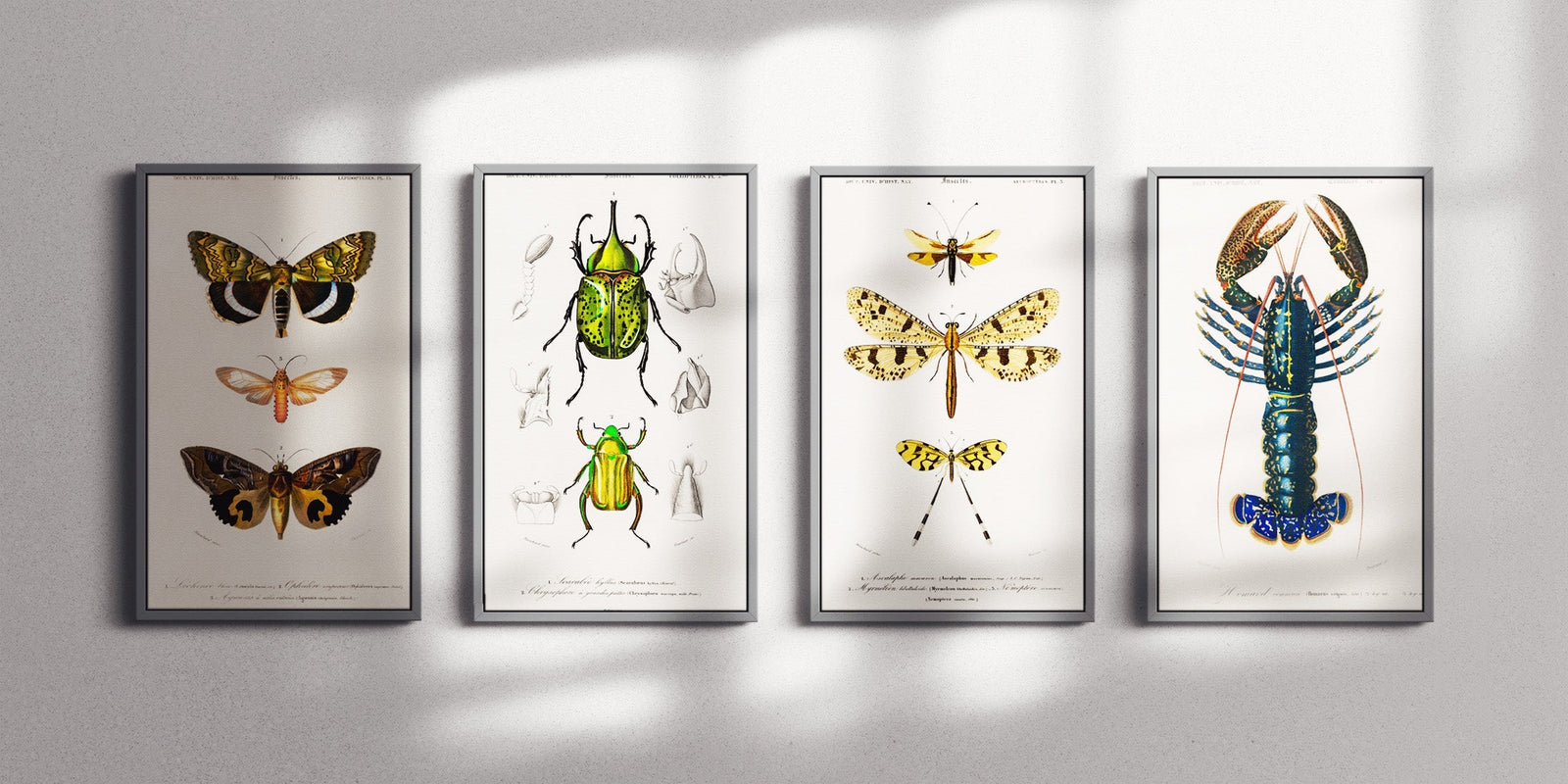 How to Hang a Gallery Wall Evenly: A Comprehensive Guide