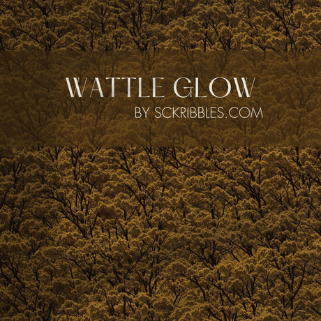 Wattle Glow | Designer Yellow Forest Trees Wallpaper Wallpaper Sckribbles