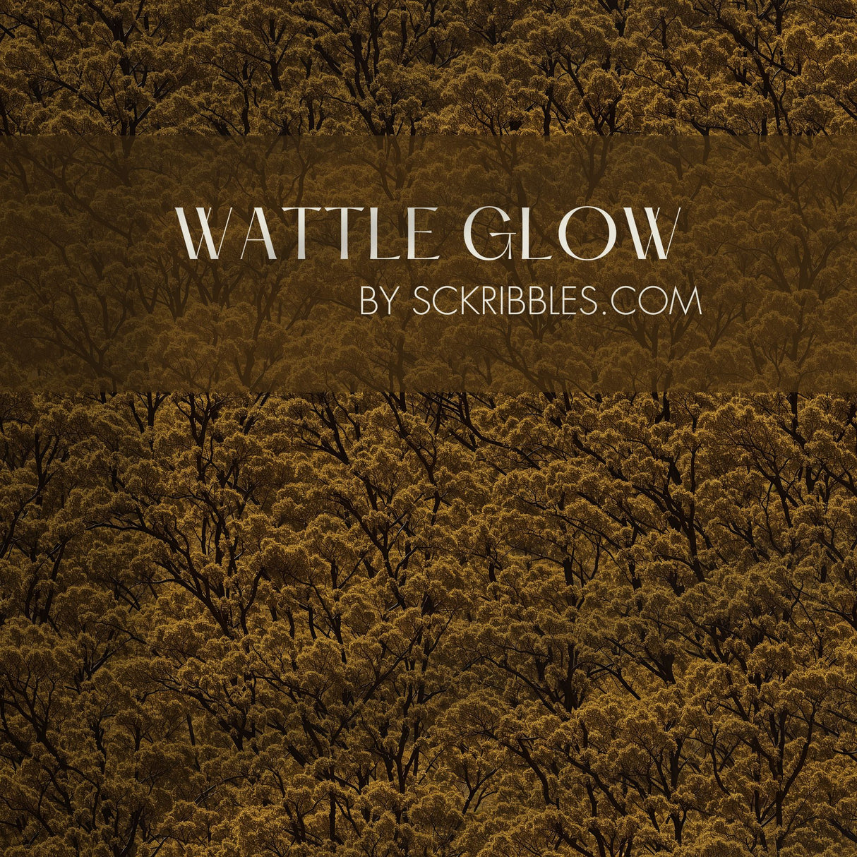 Wattle Glow | Designer Yellow Forest Trees Wallpaper Wallpaper Sckribbles