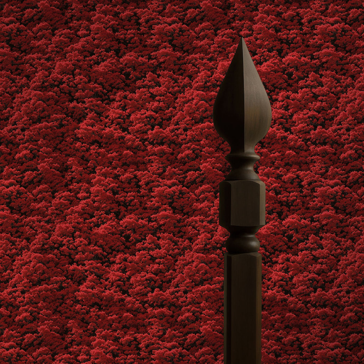 Ruby Canopy | Bright Red Botanical Blossom Tree Wallpaper Wallpaper Sckribbles