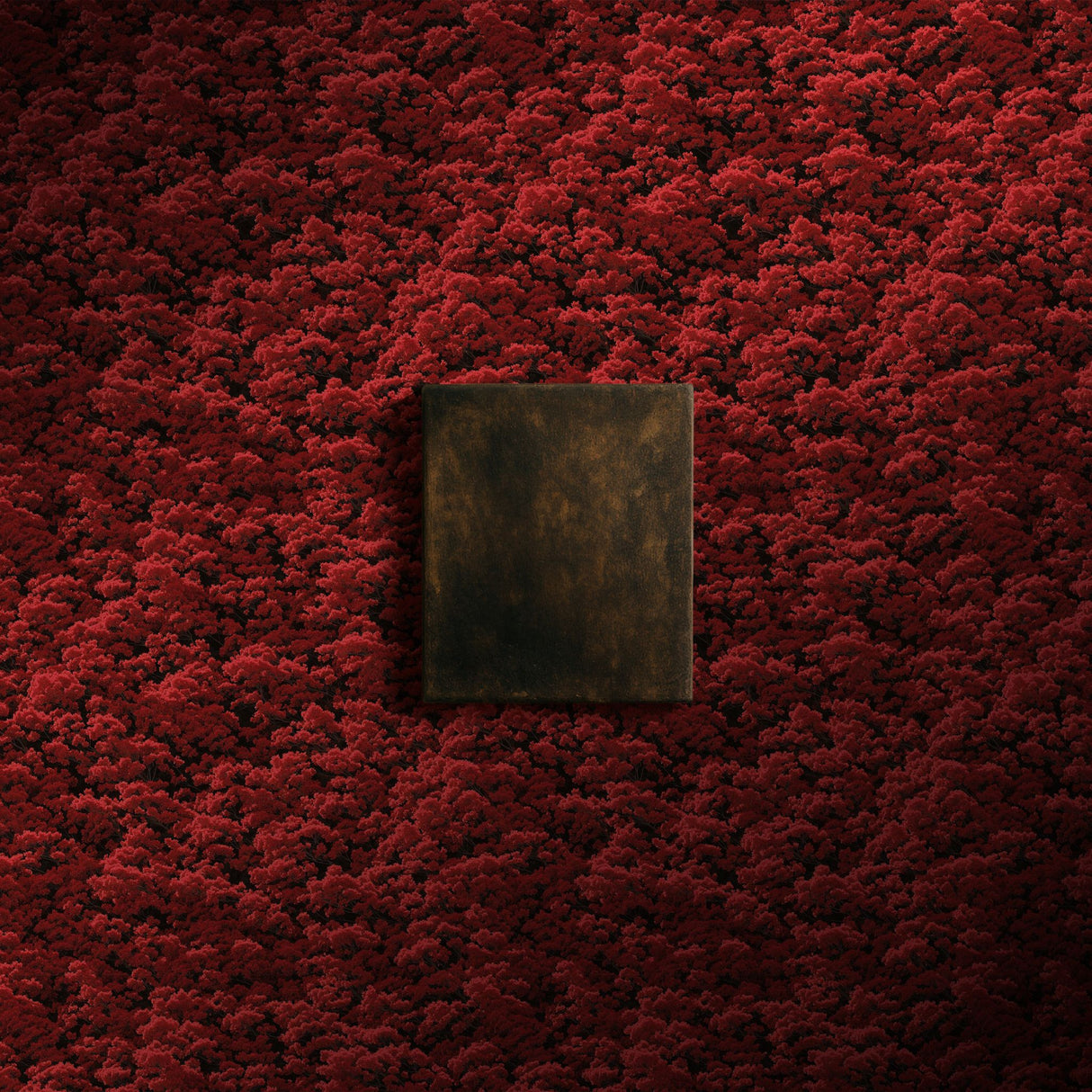 Ruby Canopy | Bright Red Botanical Blossom Tree Wallpaper Wallpaper Sckribbles