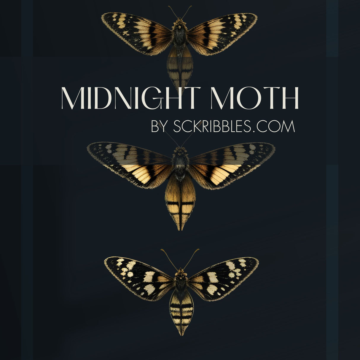 Midnight Moth | Dark Blue Striped Insect Wallpaper Wallpaper Sckribbles