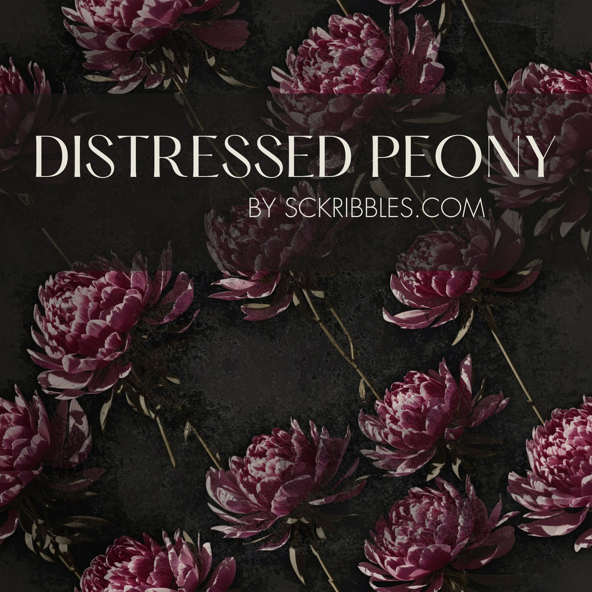 Distressed Peony | Dark Moody Floral Wallpaper Wallpaper Sckribbles