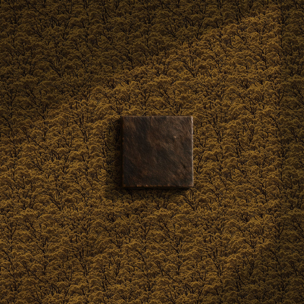 Wattle Glow | Designer Yellow Forest Trees Wallpaper Wallpaper Sckribbles