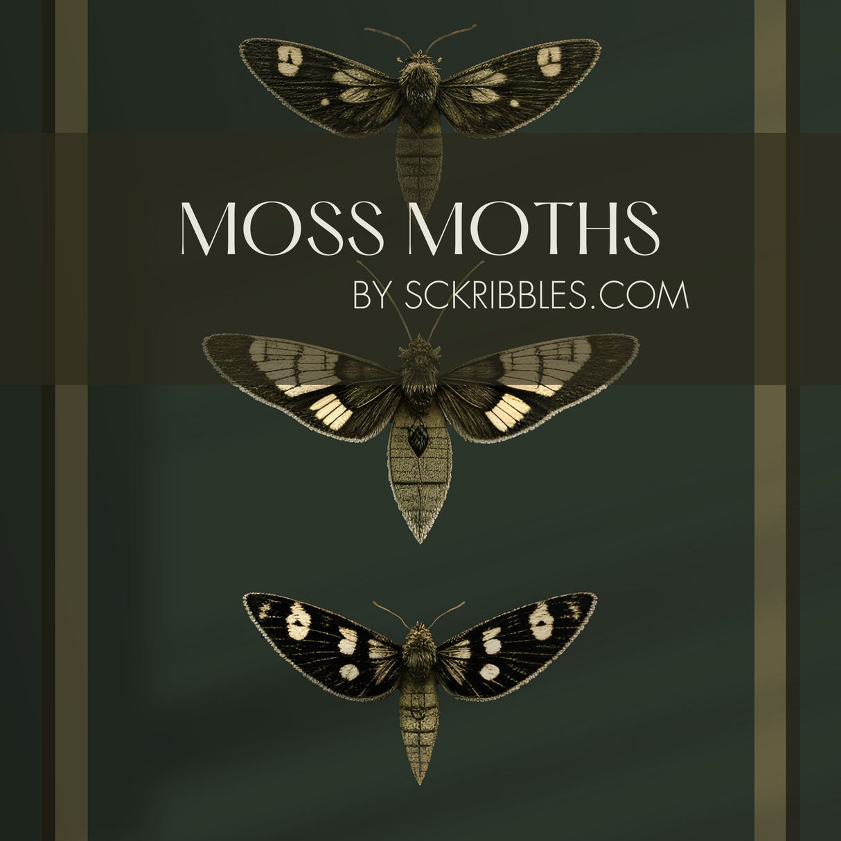 Moss Moths | Dark Khaki Green Striped Insect Wallpaper Wallpaper Sckribbles