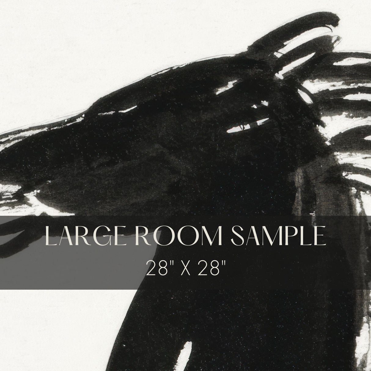 Black Horses | Bold Dramatic Black & White Wallpaper Mural Wallpaper Mural Sckribbles