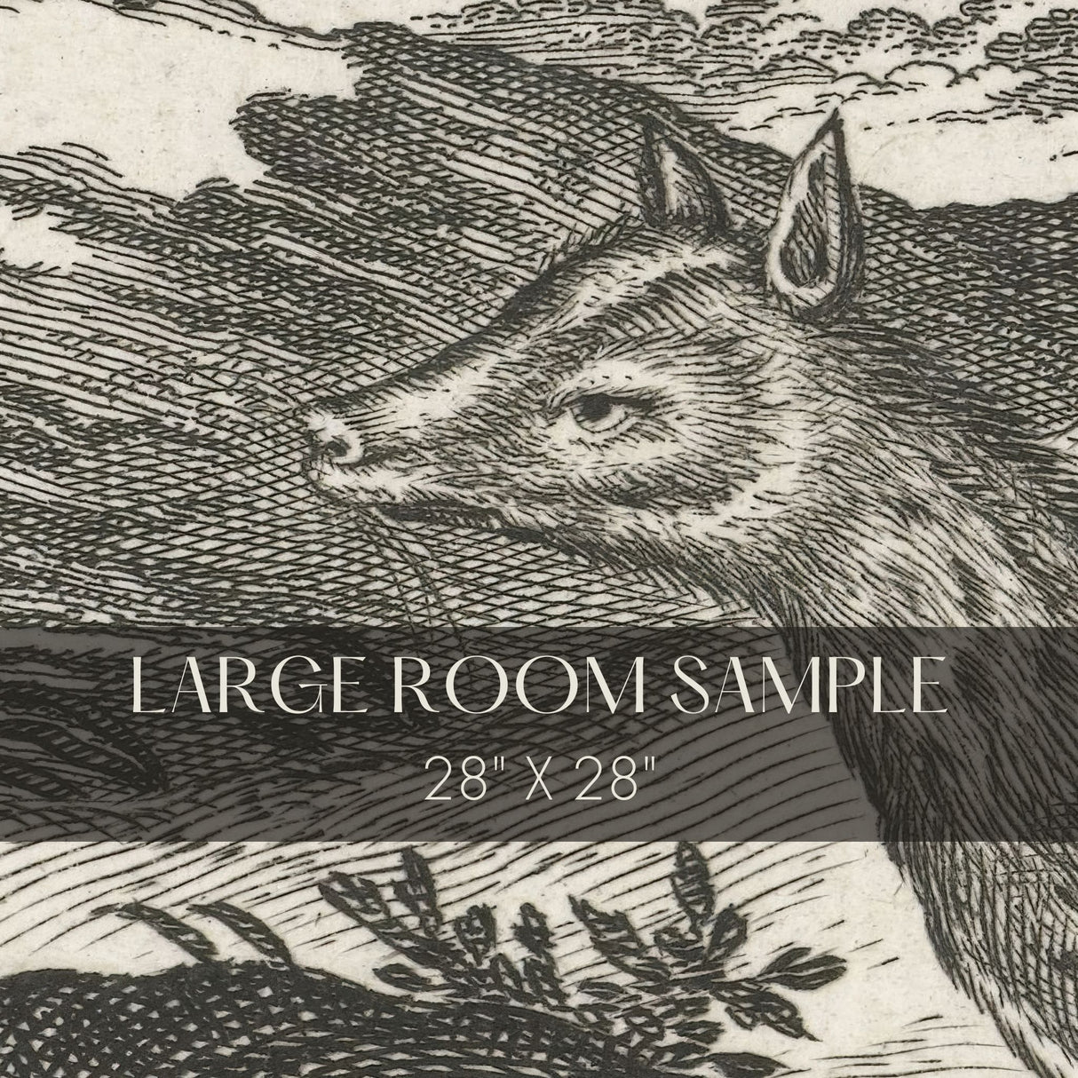 Animalium Quadrupedum | Black & White Vintage Animal Wallpaper Mural Wallpaper Mural Sckribbles