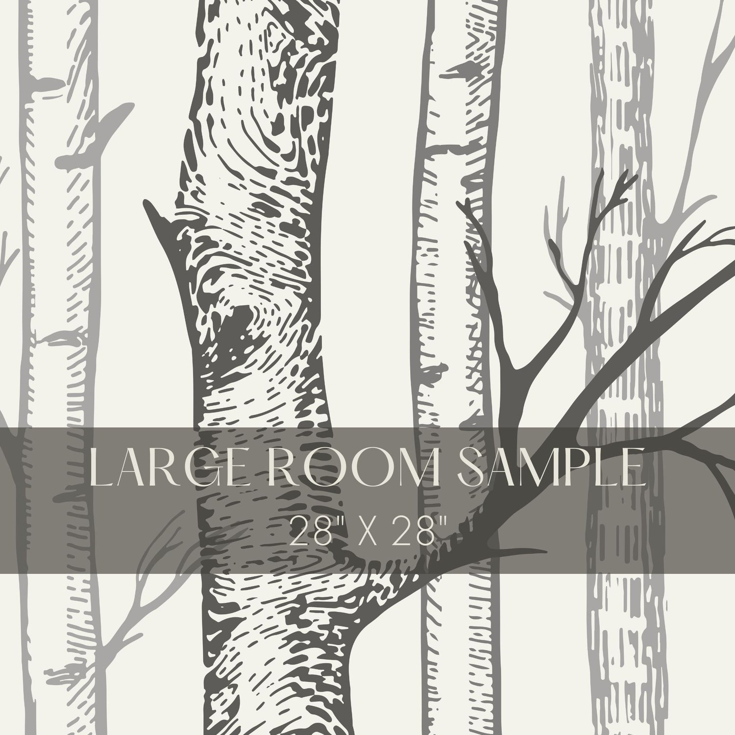 Silent Forest | Scenic Landscape Birch Tree Wallpaper Mural Wallpaper Mural Sckribbles Traditional - (Non-Woven) Large Room Sample - 28'' x 28'' / 71 x 71 cm