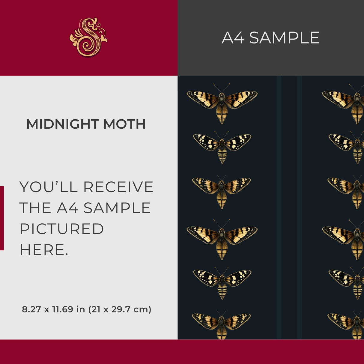 Midnight Moth | Dark Blue Striped Insect Wallpaper Wallpaper Sckribbles Signature - Premium Non-Woven A4 Sample - 8.3 × 11.7 in (21 × 29.7 cm)