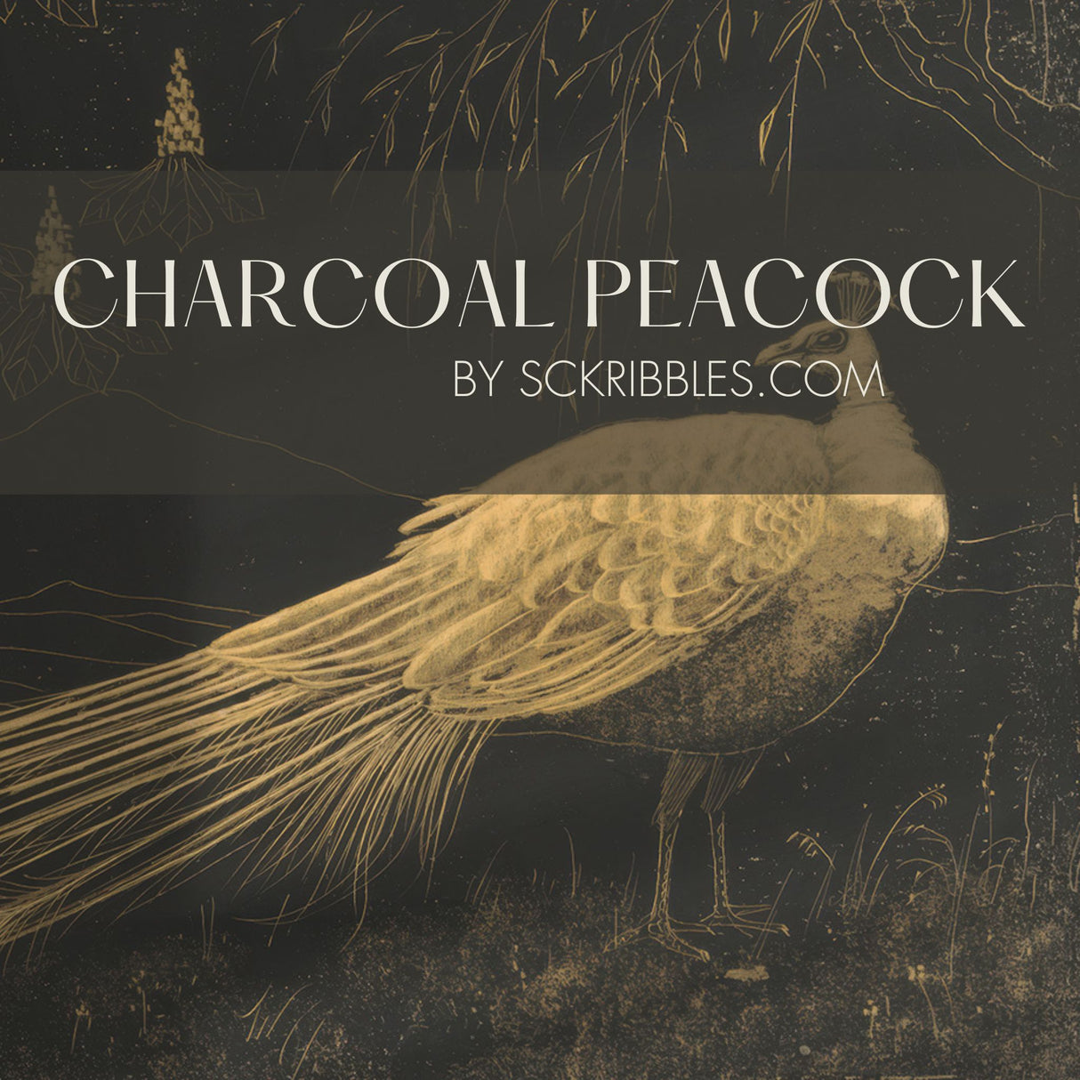 Charcoal Peacock | Dark Moody Vintage Bird Wallpaper Mural Wallpaper Mural Sckribbles