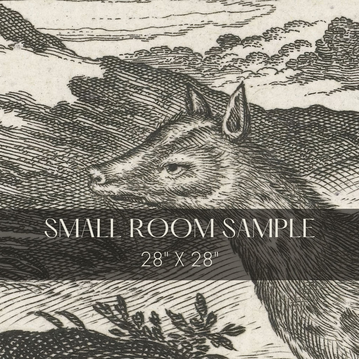 Animalium Quadrupedum | Black & White Vintage Animal Wallpaper Mural Wallpaper Mural Sckribbles