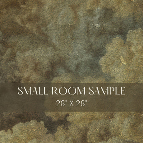 Classical Clouds | Vintage Renaissance Weathered Wallpaper Mural Wallpaper Mural Sckribbles Traditional - (Non-Woven) Small Room Sample - 28'' x 28'' / 71 x 71 cm