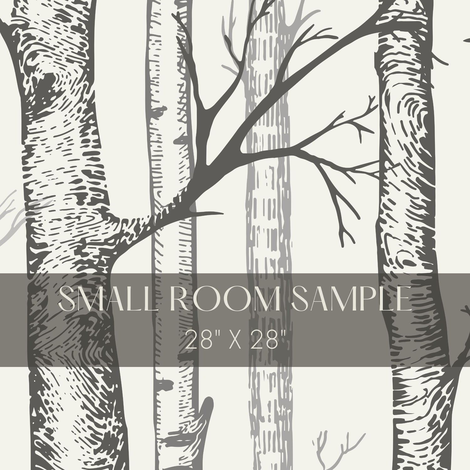 Silent Forest | Scenic Landscape Birch Tree Wallpaper Mural Wallpaper Mural Sckribbles Traditional - (Non-Woven) Small Room Sample - 28'' x 28'' / 71 x 71 cm