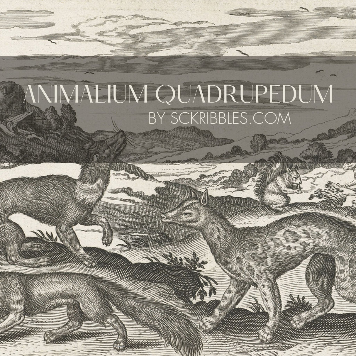 Animalium Quadrupedum | Black & White Vintage Animal Wallpaper Mural Wallpaper Mural Sckribbles