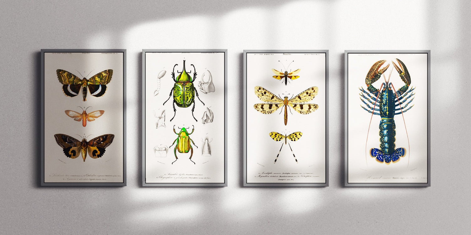 How to Hang a Gallery Wall Evenly A Comprehensive Guide 2024 Sckribbles