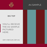 Circus Stripes | Bold Bright Colorful Vertical Striped Wallpaper Wallpaper Sckribbles Signature - Premium Non-Woven A4 Sample - 8.3 × 11.7 in (21 × 29.7 cm) Big Top