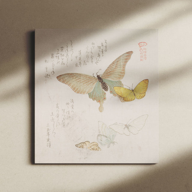 "Various Moths and Butterflies Vol 1" Japanese Wall Art Canvas by Kubo Shunman Canvas Wall Art Sckribbles   