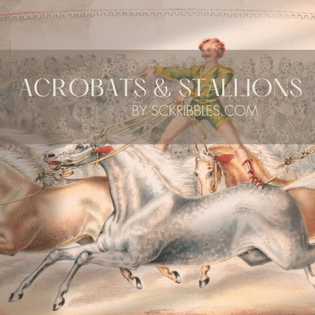 Fun Vintage Circus Horses Wallpaper Mural {Acrobats & Stallions} Wallpaper Mural Sckribbles