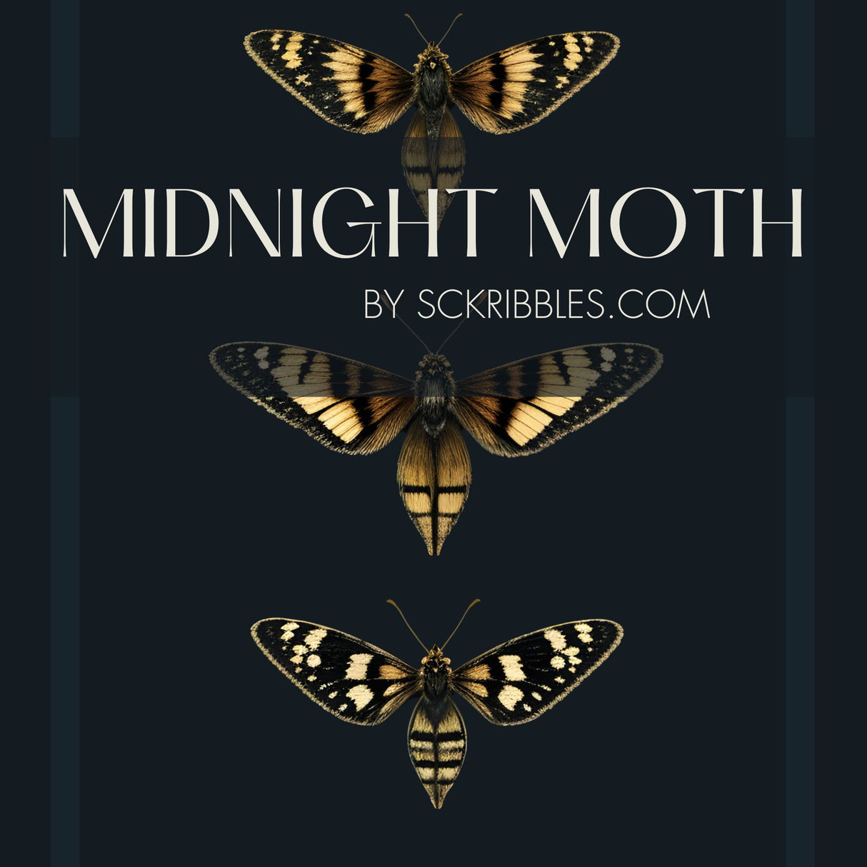 Dark Blue Striped Insect Wallpaper {Midnight Moth} Wallpaper Sckribbles   