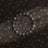 Dark muted brown dreamy bird wallpaper.