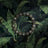 Dark and moody green tropical banana leaves wallpaper.