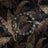 Dark and moody tropical wallpaper.