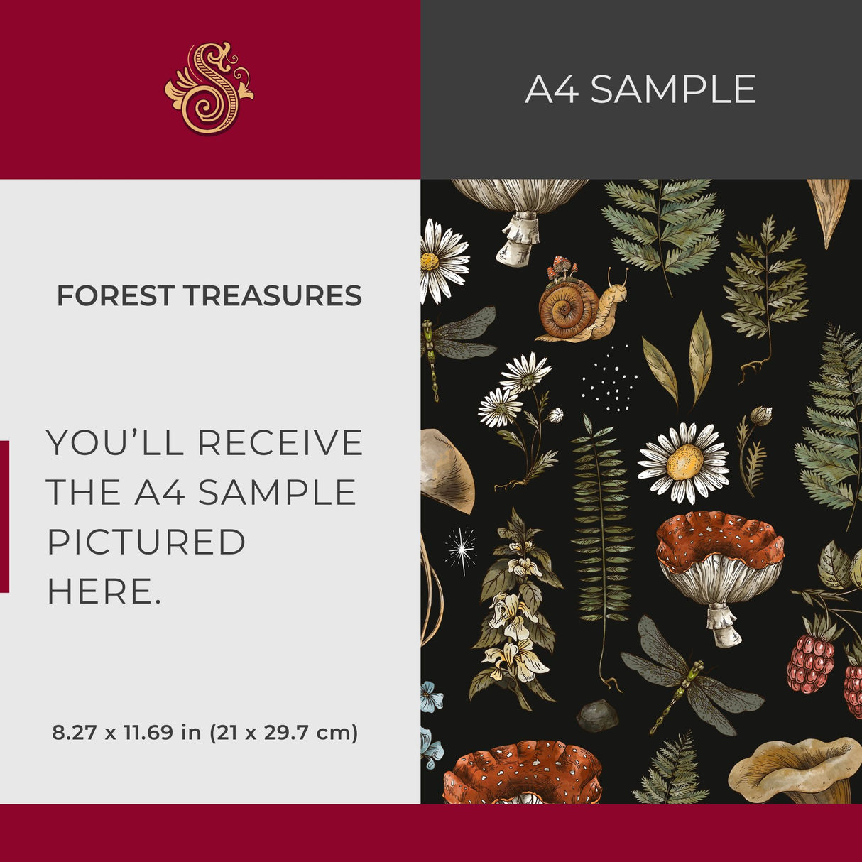 Forest Treasures | Dark Mushrooms & Ferns Botanical Forest Wallpaper