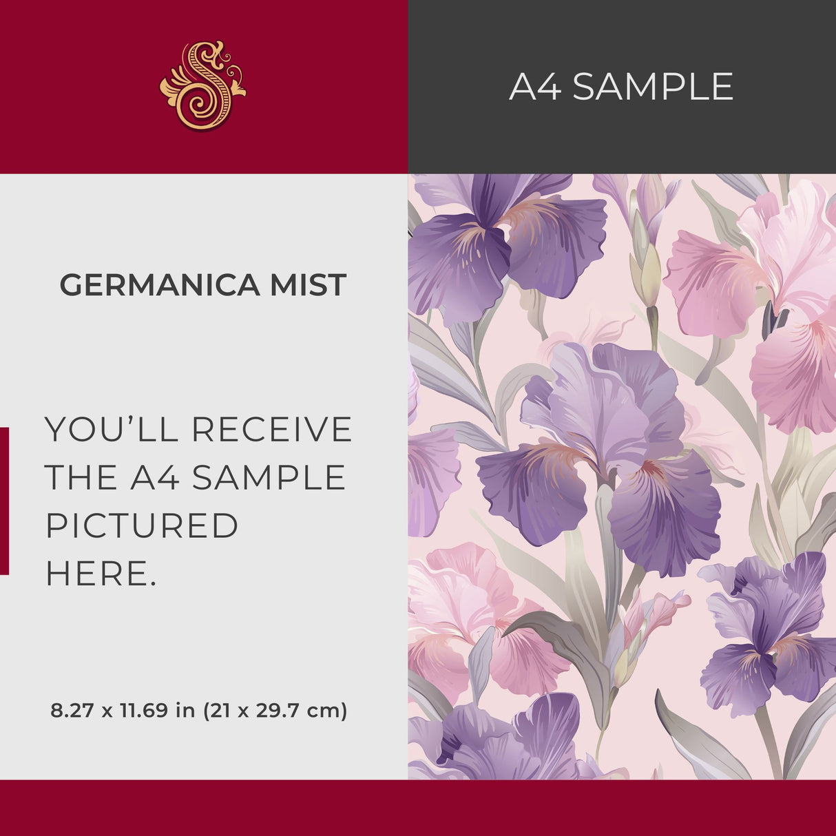 Germanica Mist | Feminine Pink & Purple Iris Floral Wallpaper Wallpaper Sckribbles Signature - Premium Non-Woven A4 Sample - 8.3 × 11.7 in (21 × 29.7 cm)