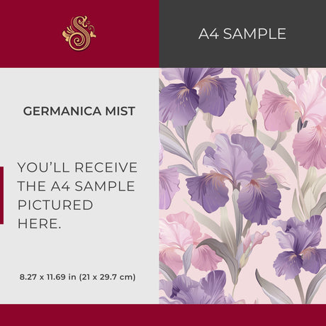 Germanica Mist | Feminine Pink & Purple Iris Floral Wallpaper Wallpaper Sckribbles Signature - Premium Non-Woven A4 Sample - 8.3 × 11.7 in (21 × 29.7 cm)