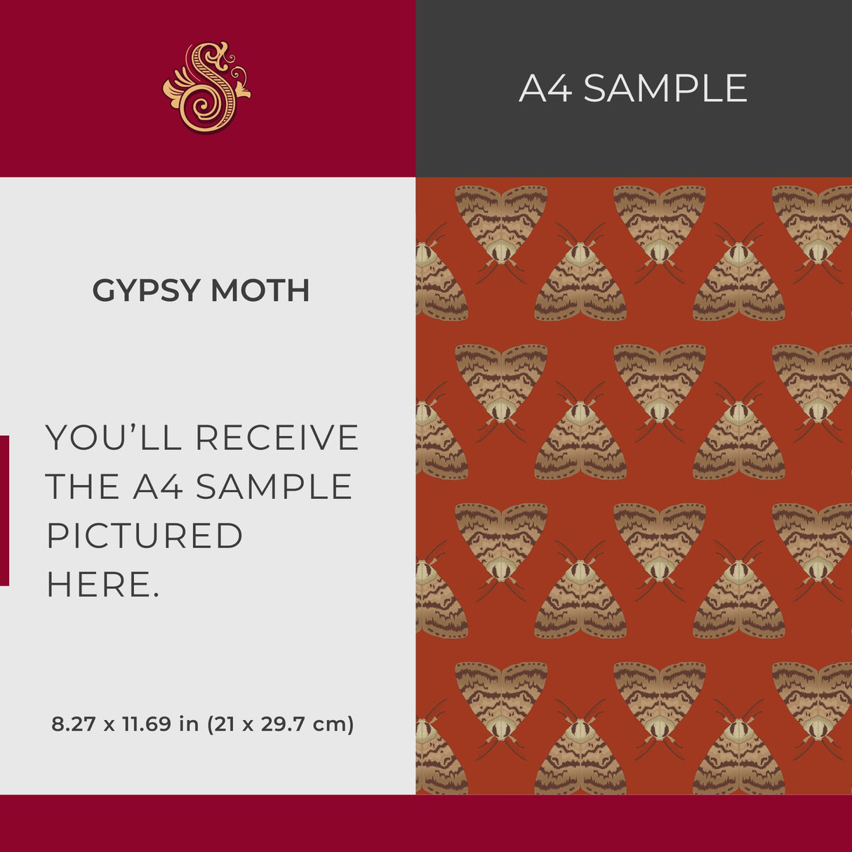 Gypsy Moth | Fun Orange Daring Maximalist Insect Wallpaper