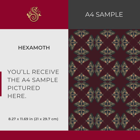 Moth Matrix | Moody Dark Academia Geometrical Moth Wallpaper Wallpaper Sckribbles Signature - Premium Non-Woven A4 Sample - 8.3 × 11.7 in (21 × 29.7 cm) HexaMoth