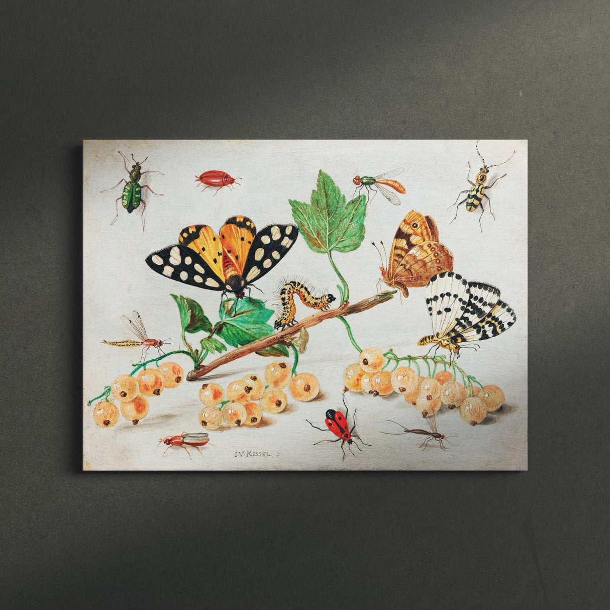 "Insects and Fruits" Vintage Wall Art Canvas by Jan van Kessel Canvas Wall Art Sckribbles   