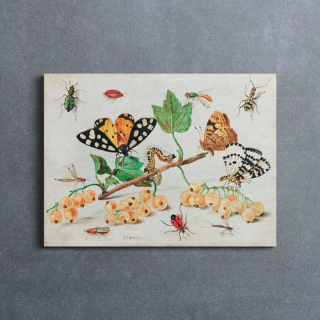 "Insects and Fruits" Vintage Wall Art Canvas by Jan van Kessel Canvas Wall Art Sckribbles   