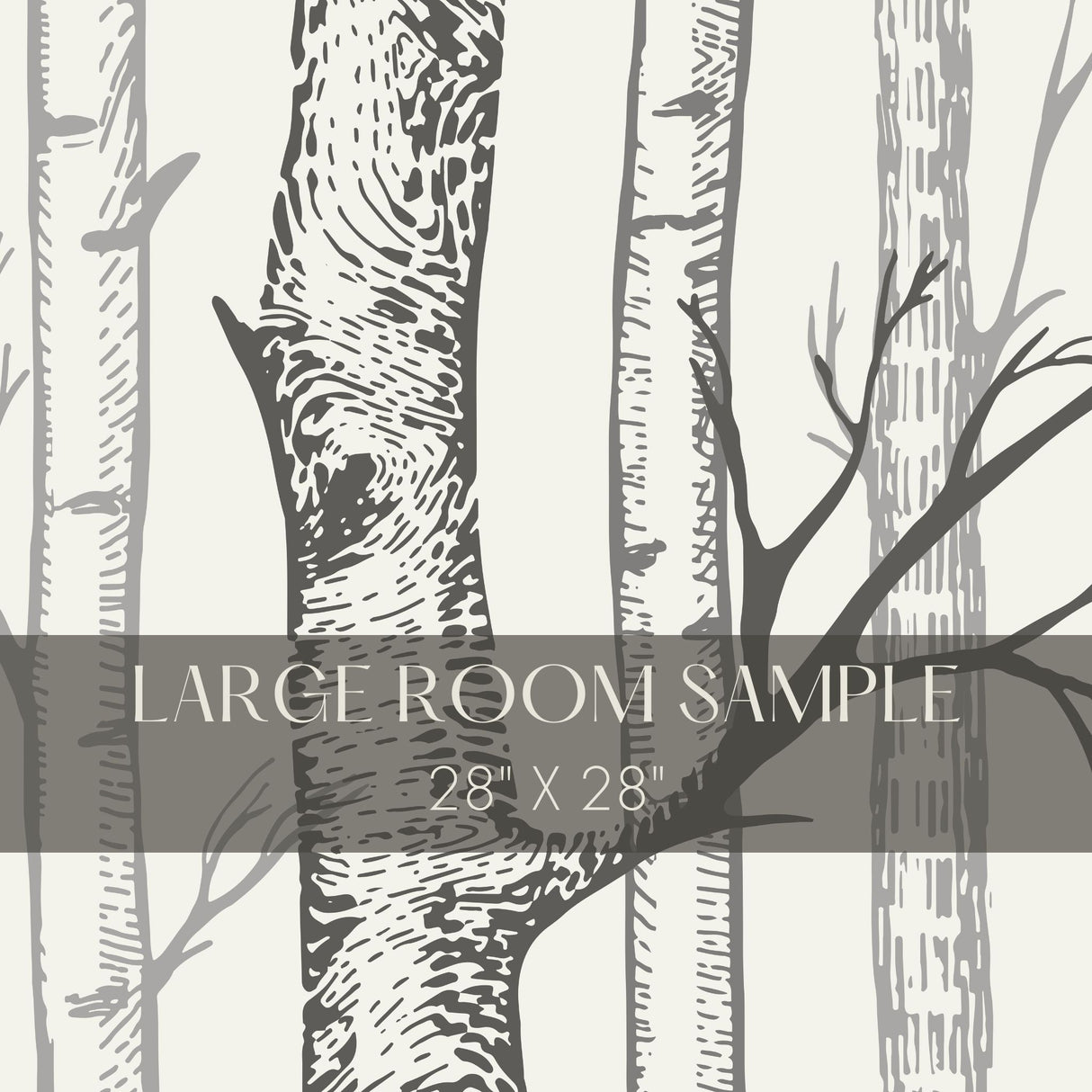 Scenic Landscape Birch Tree Wallpaper Mural {Silent Forest} Wallpaper Mural Sckribbles
