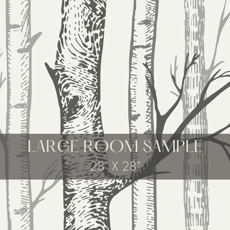 Scenic Landscape Birch Tree Wallpaper Mural {Silent Forest} Wallpaper Mural Sckribbles