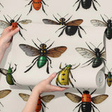 Fun Light Vintage Insect Wallpaper {Bug Motif} Wallpaper Sckribbles   