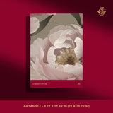 Peony Perfection | Floral Pink & Cream Flower Wallpaper Wallpaper Sckribbles Signature - Premium Non-Woven A4 Sample - 8.27 × 11.69 in (21 × 29.7 cm) Garden Hour