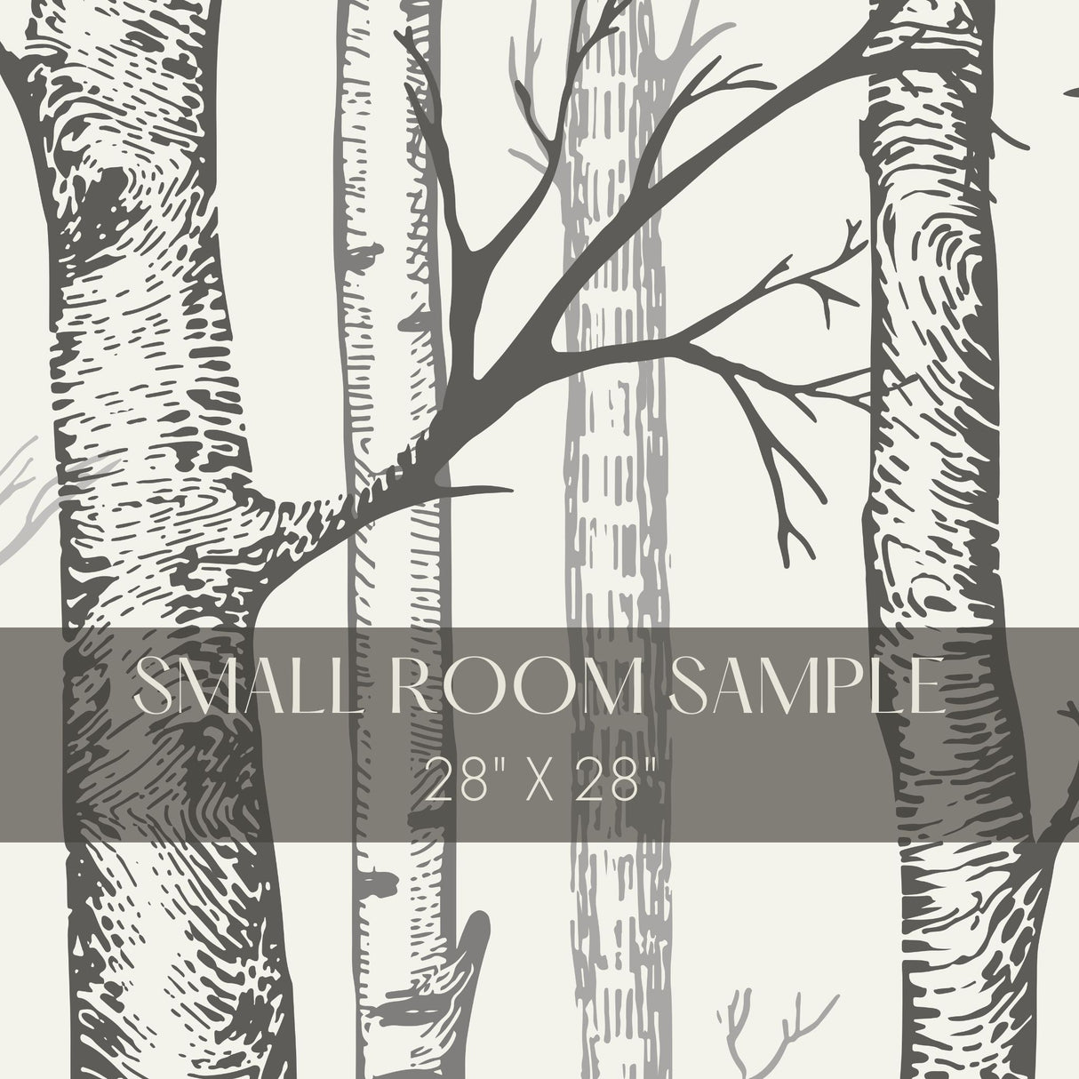 Scenic Landscape Birch Tree Wallpaper Mural {Silent Forest} Wallpaper Mural Sckribbles