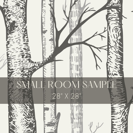 Scenic Landscape Birch Tree Wallpaper Mural {Silent Forest} Wallpaper Mural Sckribbles