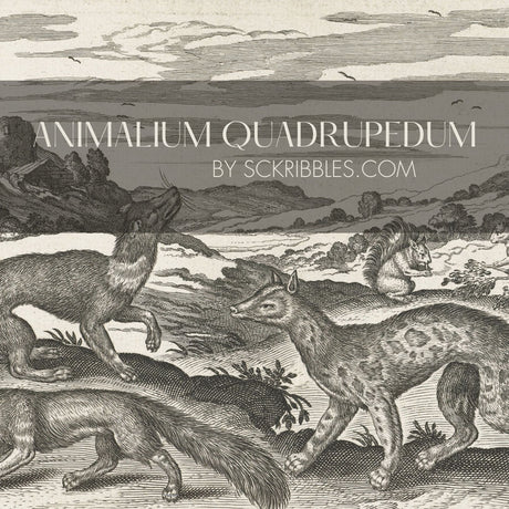 Black & White Vintage Animal Wallpaper Mural {Animalium Quadrupedum} Wallpaper Mural Sckribbles
