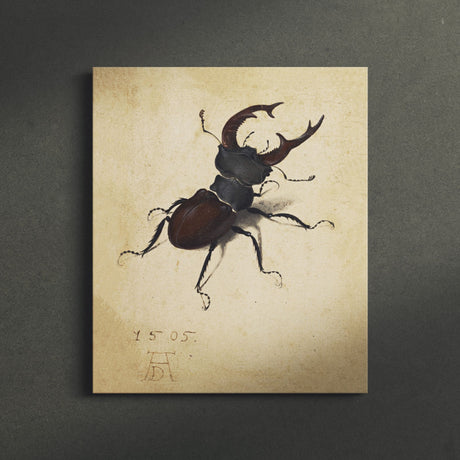 "Stag Beetle" Vintage Insect Wall Art Canvas by Albrecht Dürer Canvas Wall Art Sckribbles   