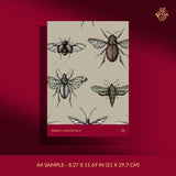 Vintage insect wallpaper sample.