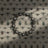 Vintage insect wallpaper on a cream background.