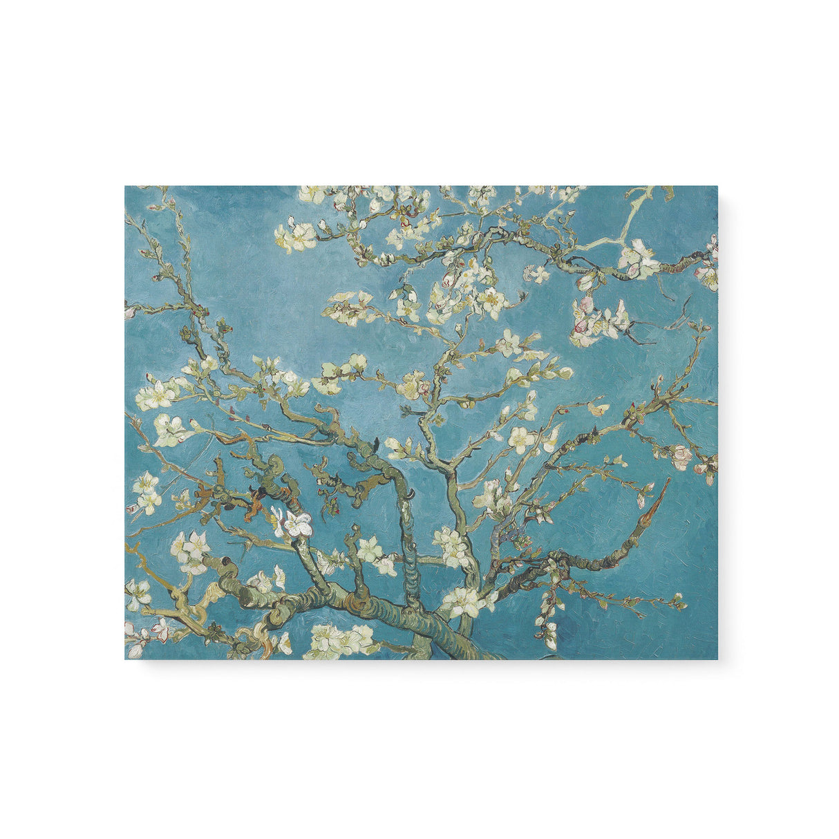 "Almond Blossom" Famous Wall Art Canvas Print by Vincent van Gogh Canvas Wall Art Sckribbles 20x16  