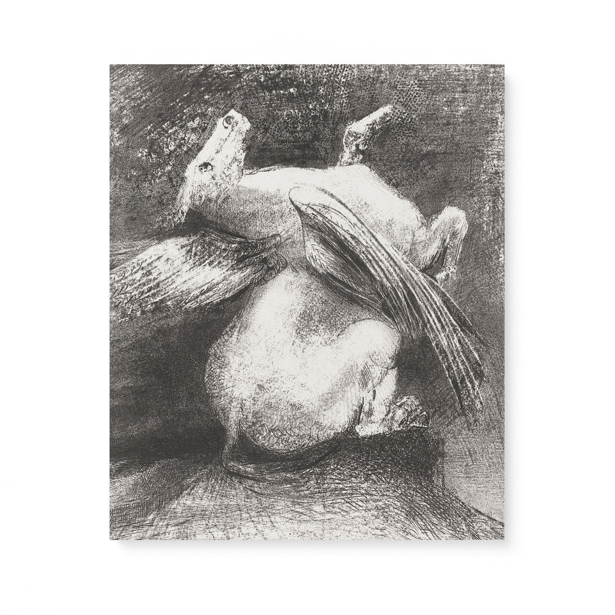 "The Impotent Wing" Wall Art Canvas Print by Odilon Redon Canvas Wall Art Sckribbles 20x24  