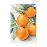 Bunch of Oranges Kitchen Watercolor Wall Art Canvas {Citrus Love} Canvas Wall Art Sckribbles 20x30  