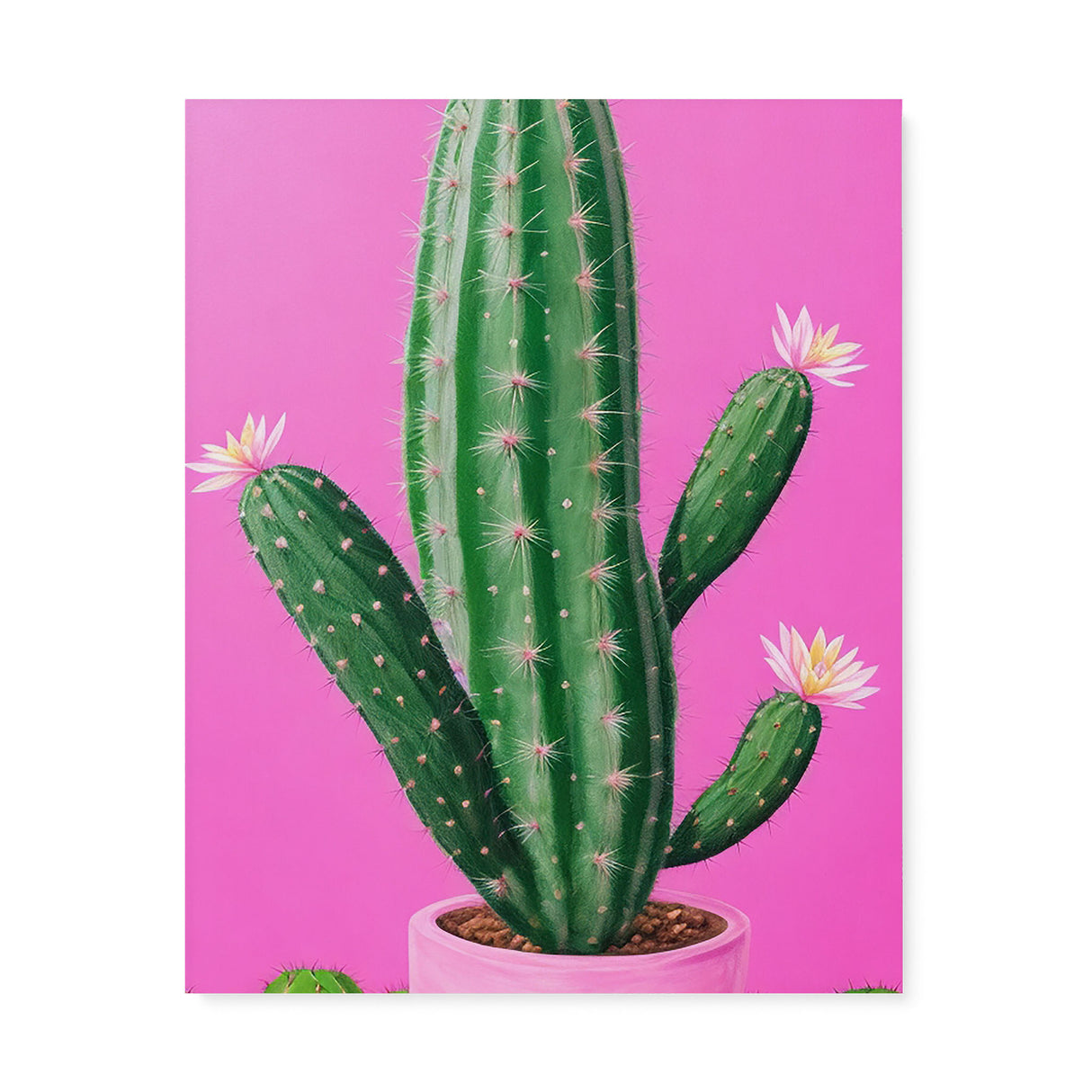 Bright Pink and Green Canvas Wall Art {Cactus Love} Canvas Wall Art Sckribbles 24x30  