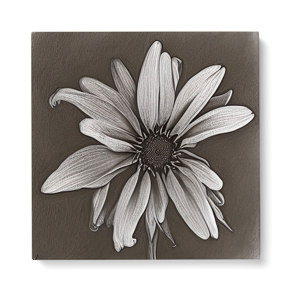 Black and White Neutral Sketch of a Flower Wall Art Canvas {Petal Portrait} Canvas Wall Art Sckribbles 40x40  