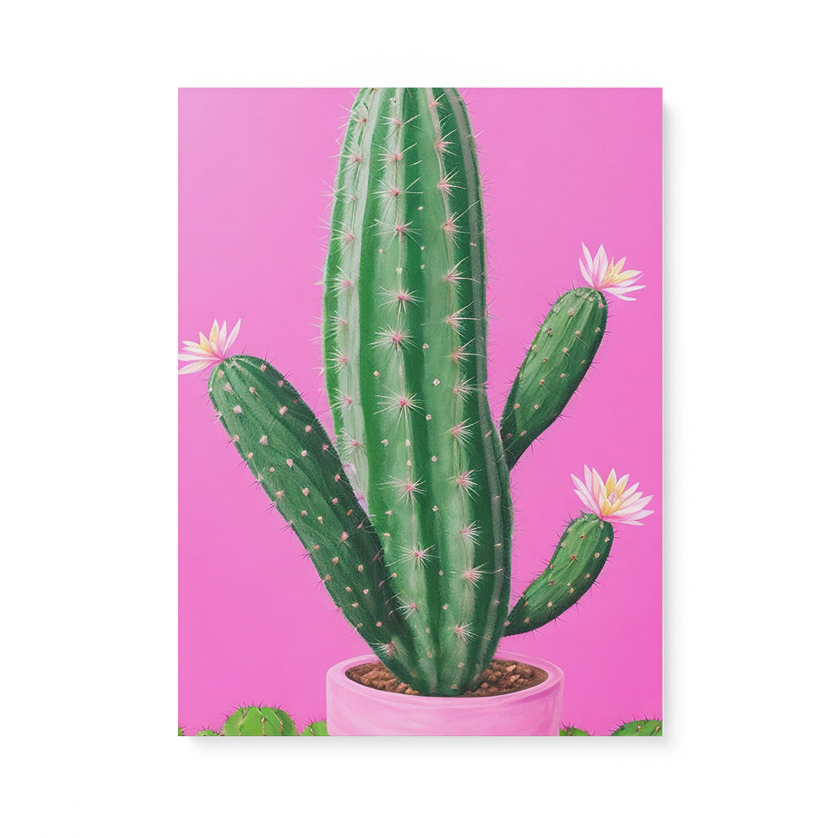 Bright Pink and Green Canvas Wall Art {Cactus Love} Canvas Wall Art Sckribbles 18x24  