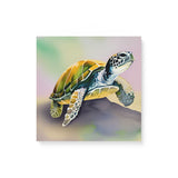 Cute Watercolor Sea Turtle Wall Art Canvas {Pastel Turtle} Canvas Wall Art Sckribbles 16x16  